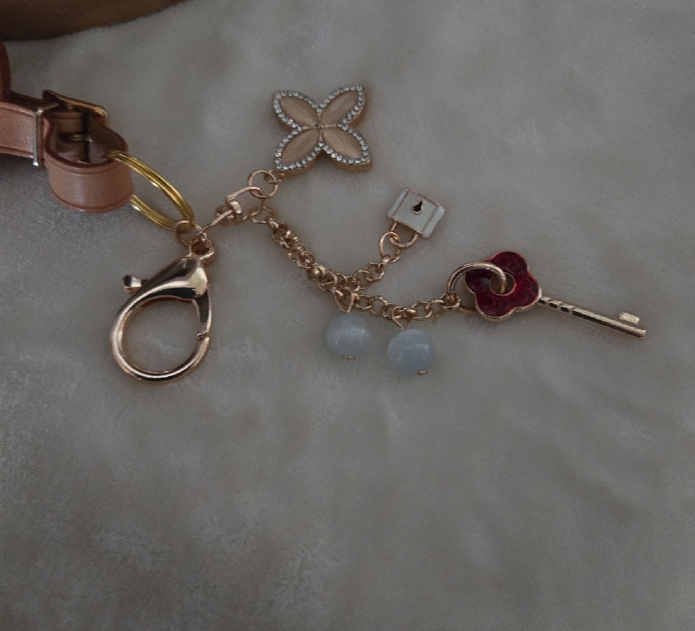 Louis Vuitton Luggage Tag And Unbranded Key Holder/ Bag Charm - Picture 4 of 4